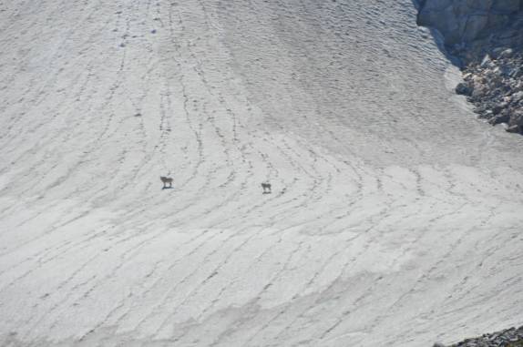 Grand Teton National Park, no Wyoming, nos Estados Unidos